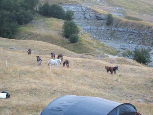 trekking con i muli-64.JPG